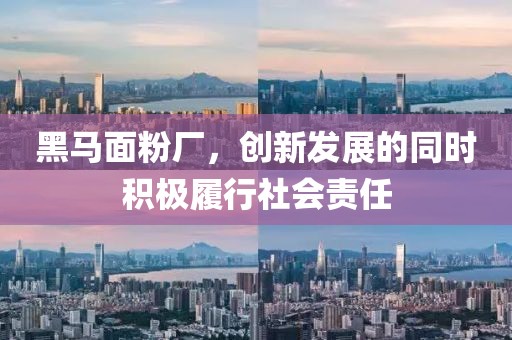 黑馬面粉廠，創(chuàng)新發(fā)展的同時(shí)積極履行社會責(zé)任