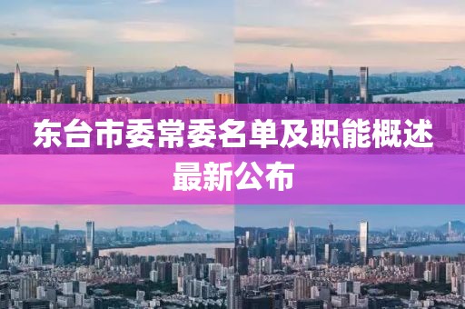 東臺市委常委名單及職能概述最新公布