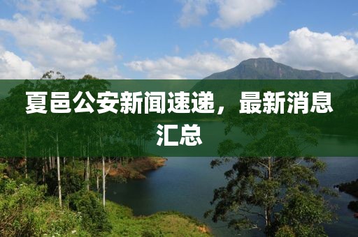 夏邑公安新聞速遞，最新消息匯總
