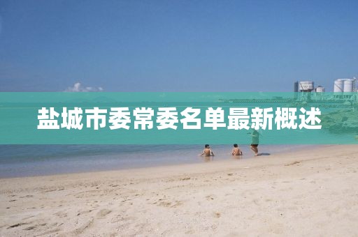 鹽城市委常委名單最新概述