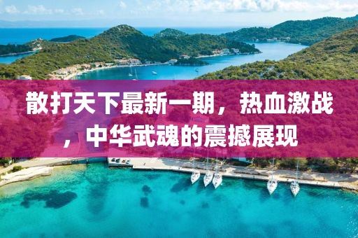 散打天下最新一期，熱血激戰(zhàn)，中華武魂的震撼展現(xiàn)