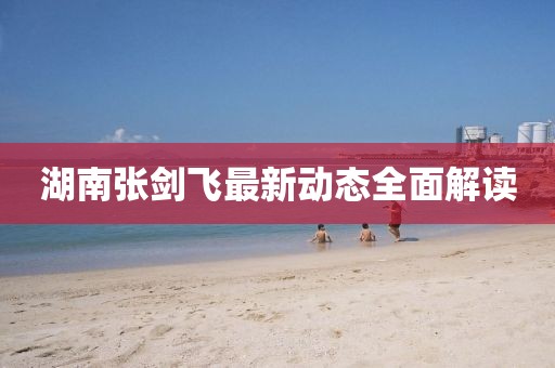 湖南張劍飛最新動態(tài)全面解讀