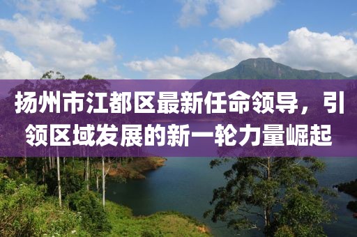 揚(yáng)州市江都區(qū)最新任命領(lǐng)導(dǎo)，引領(lǐng)區(qū)域發(fā)展的新一輪力量崛起