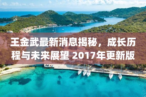 王金武最新消息揭秘，成長歷程與未來展望 2017年更新版