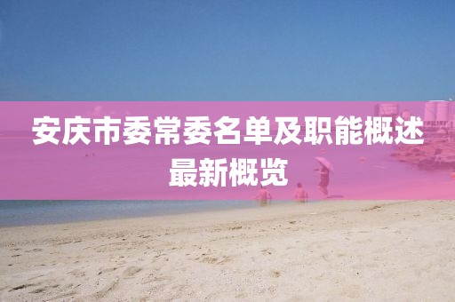 安慶市委常委名單及職能概述最新概覽