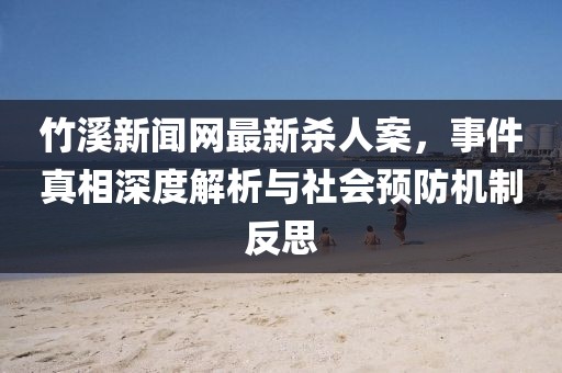 竹溪新聞網(wǎng)最新殺人案，事件真相深度解析與社會預(yù)防機(jī)制反思