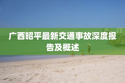 廣西昭平最新交通事故深度報(bào)告及概述