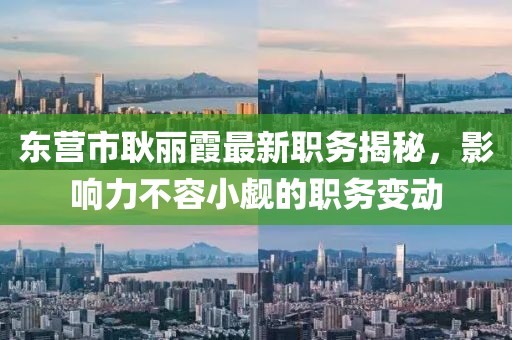東營市耿麗霞最新職務(wù)揭秘，影響力不容小覷的職務(wù)變動