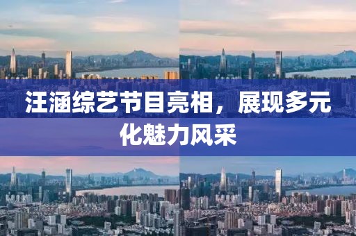 汪涵綜藝節(jié)目亮相，展現(xiàn)多元化魅力風采