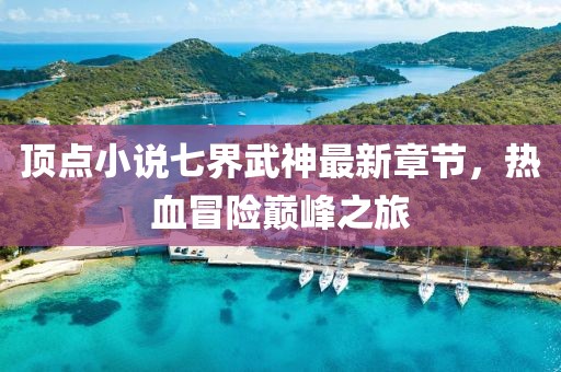 頂點(diǎn)小說七界武神最新章節(jié)，熱血冒險(xiǎn)巔峰之旅