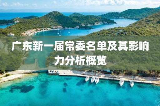 廣東新一屆常委名單及其影響力分析概覽