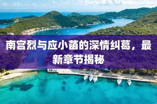 南宮烈與應(yīng)小菡的深情糾葛，最新章節(jié)揭秘