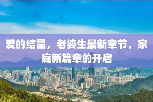 愛(ài)的結(jié)晶，老婆生最新章節(jié)，家庭新篇章的開(kāi)啟