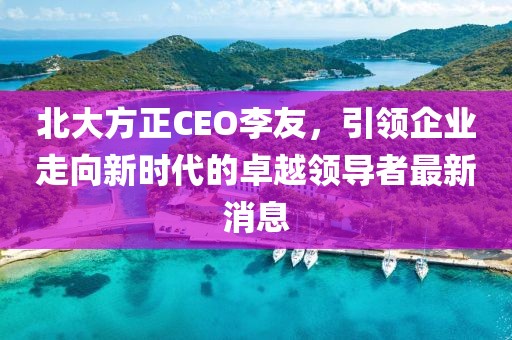 北大方正CEO李友，引領企業(yè)走向新時代的卓越領導者最新消息