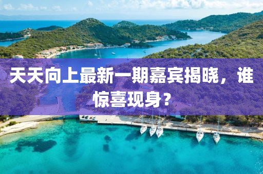 天天向上最新一期嘉賓揭曉，誰驚喜現(xiàn)身？