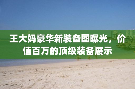 王大媽豪華新裝備圖曝光，價值百萬的頂級裝備展示