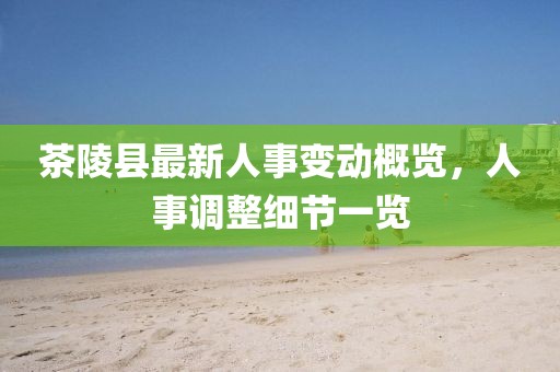 茶陵縣最新人事變動概覽，人事調(diào)整細(xì)節(jié)一覽