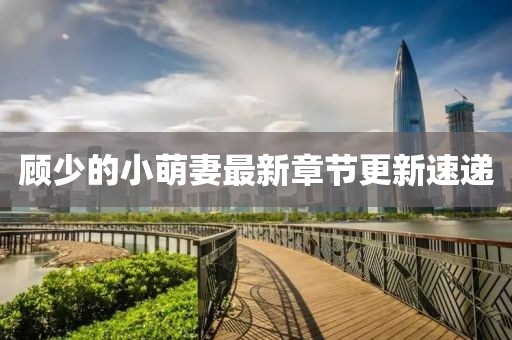 顧少的小萌妻最新章節(jié)更新速遞