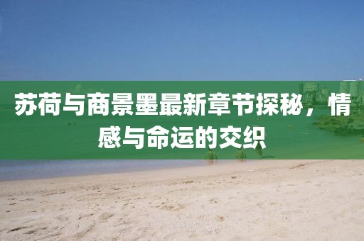 蘇荷與商景墨最新章節(jié)探秘，情感與命運(yùn)的交織