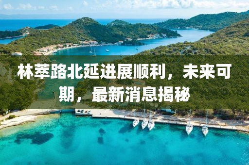 林萃路北延進(jìn)展順利，未來可期，最新消息揭秘