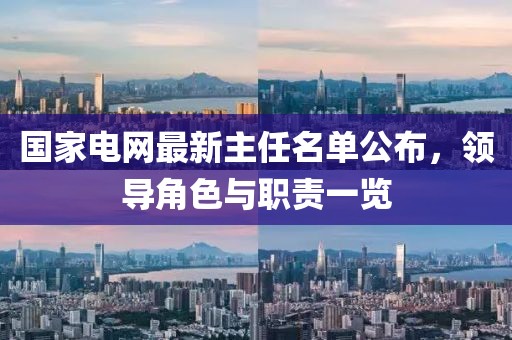 國(guó)家電網(wǎng)最新主任名單公布，領(lǐng)導(dǎo)角色與職責(zé)一覽