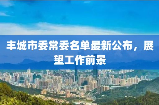 豐城市委常委名單最新公布，展望工作前景