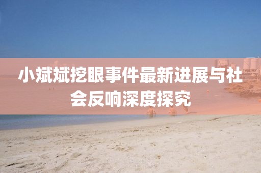 小斌斌挖眼事件最新進展與社會反響深度探究