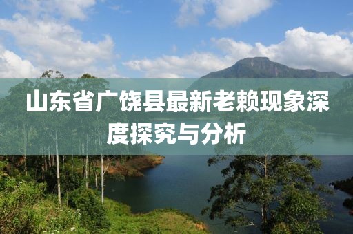 山東省廣饒縣最新老賴現(xiàn)象深度探究與分析