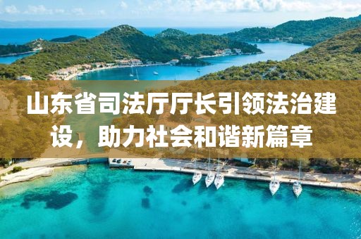 山東省司法廳廳長引領(lǐng)法治建設(shè)，助力社會和諧新篇章
