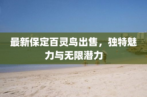 最新保定百靈鳥出售，獨特魅力與無限潛力