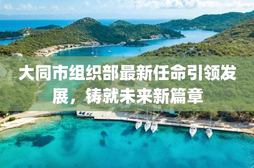 大同市組織部最新任命引領(lǐng)發(fā)展，鑄就未來新篇章