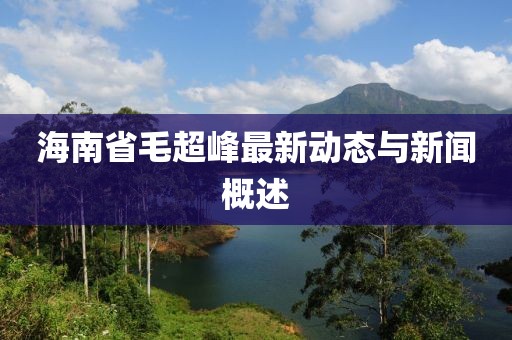 海南省毛超峰最新動態(tài)與新聞概述
