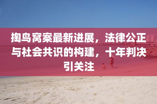 掏鳥(niǎo)窩案最新進(jìn)展，法律公正與社會(huì)共識(shí)的構(gòu)建，十年判決引關(guān)注