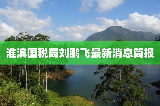 淮濱國稅局劉鵬飛最新消息簡報