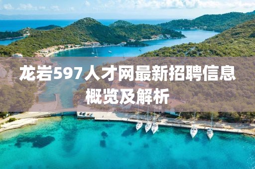 龍巖597人才網(wǎng)最新招聘信息概覽及解析
