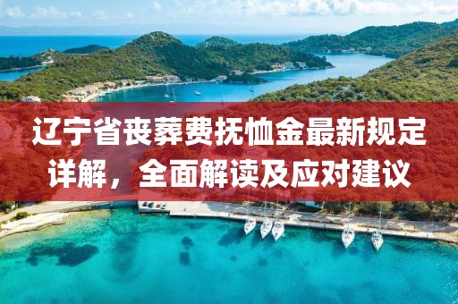 遼寧省喪葬費撫恤金最新規(guī)定詳解，全面解讀及應(yīng)對建議