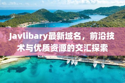 Javlibary最新域名，前沿技術(shù)與優(yōu)質(zhì)資源的交匯探索
