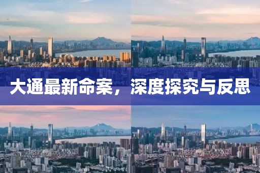 大通最新命案，深度探究與反思