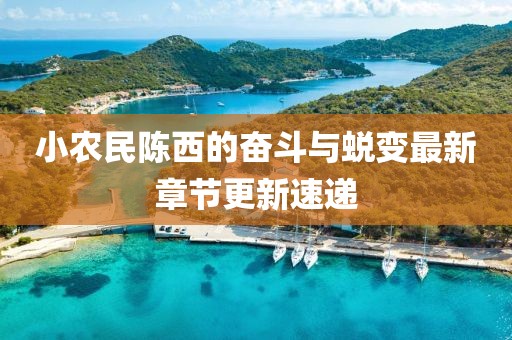 小農(nóng)民陳西的奮斗與蛻變最新章節(jié)更新速遞