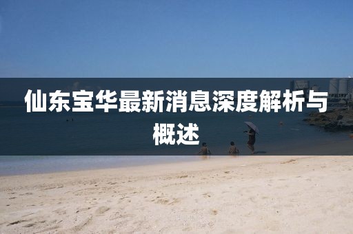 仙東寶華最新消息深度解析與概述