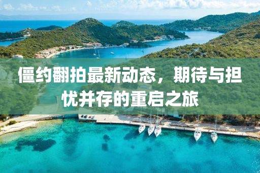 僵約翻拍最新動態(tài)，期待與擔憂并存的重啟之旅