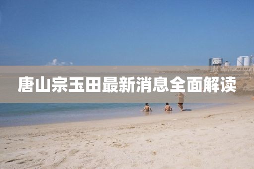 唐山宗玉田最新消息全面解讀