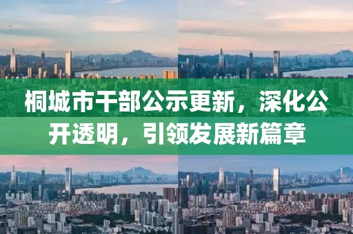 桐城市干部公示更新，深化公開透明，引領(lǐng)發(fā)展新篇章