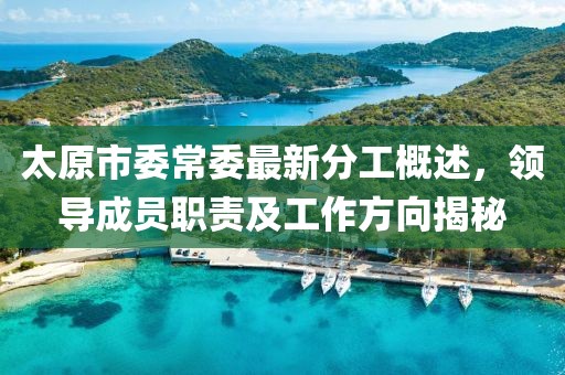 太原市委常委最新分工概述，領導成員職責及工作方向揭秘