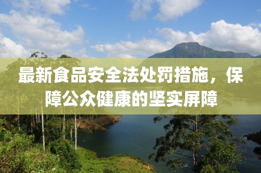 最新食品安全法處罰措施，保障公眾健康的堅實屏障