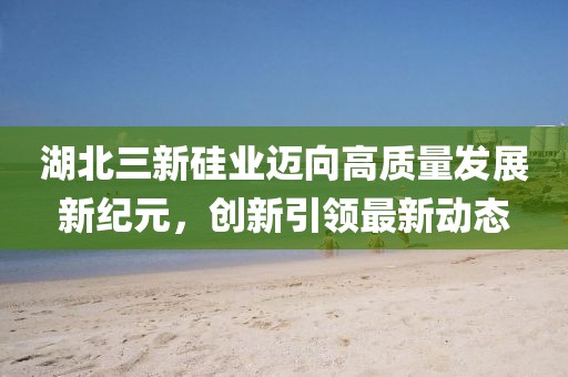 湖北三新硅業(yè)邁向高質(zhì)量發(fā)展新紀元，創(chuàng)新引領(lǐng)最新動態(tài)