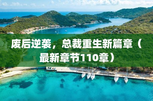 廢后逆襲，總裁重生新篇章（最新章節(jié)110章）