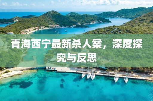 青海西寧最新殺人案，深度探究與反思