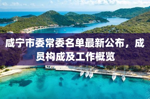 咸寧市委常委名單最新公布，成員構(gòu)成及工作概覽