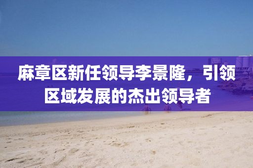 麻章區(qū)新任領(lǐng)導(dǎo)李景隆，引領(lǐng)區(qū)域發(fā)展的杰出領(lǐng)導(dǎo)者
